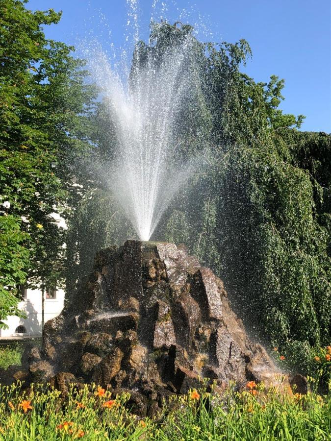 Wanderlust Apartment Baden-Baden Eksteriør bilde